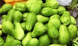 吃的东西什么瓜,探寻各地特色瓜果美食之旅