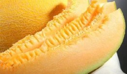 老人吃哈密瓜出汗,老人吃哈密瓜出汗的奇妙体验