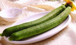 嫩小瓜怎么吃,探索美味与营养的完美结合