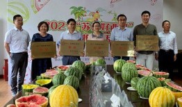 常熟吃瓜人,吃瓜人生，品味人间烟火