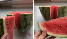 吃瓜法律故事,吃瓜群众的法律故事