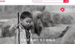 不见当年吃瓜人