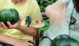 吃瓜动作表演,吃瓜动作大赏