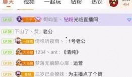 吃瓜直播间情感,情感交织的虚拟世界