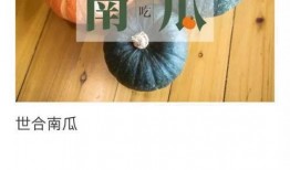 利世insane吃瓜,揭秘娱乐圈幕后风云