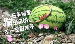 吃瓜行列,一场全民参与的娱乐盛宴