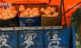 金乡吃瓜人