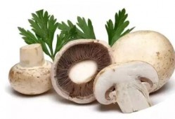 吃瓜爆料蘑菇视频,吃瓜爆料蘑菇视频带你探秘幕后真相