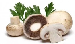 吃瓜爆料蘑菇视频,吃瓜爆料蘑菇视频带你探秘幕后真相