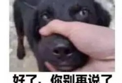 怼吃瓜群众表情,揭秘“怼吃瓜群众”表情背后的网络文化现象