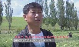 老王吃瓜密码,揭秘网络热点的背后真相