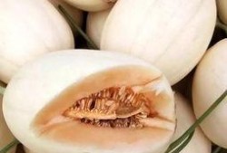 东方小蜜瓜怎么吃