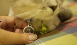 吃瓜猫噜噜,揭秘娱乐圈的幕后故事