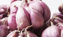 丑哥吃佛手瓜,丑哥的佛手瓜美食之旅