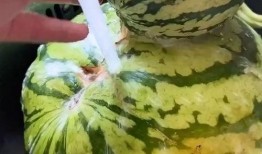 买瓜吃瓜搞笑视频大全集,买瓜吃瓜搞笑视频大盘点