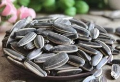 吃瓜和瓜子视频,瓜子视频带你领略娱乐盛宴