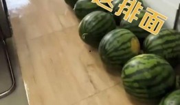 花臂老师 吃瓜,揭秘娱乐圈幕后故事