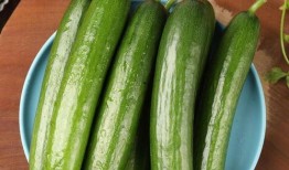 夹心小瓜可以吃吗,美味与健康的双重享受