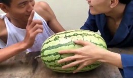 傻瓜瓜吃瓜视频,揭秘娱乐圈幕后故事