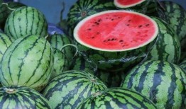 夏日吃瓜的季节,瓜果飘香——畅享清凉夏日美味之旅