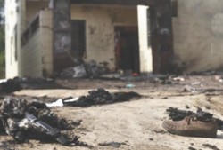 湛江赤坎吃瓜事件始末,一场网络热议的真相追踪