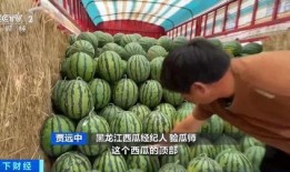 故县吃瓜,一场别开生面的吃瓜盛宴