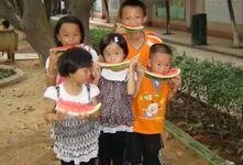 吃瓜观众77,揭秘娱乐圈幕后故事