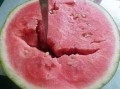 吃瓜导致呕吐腹泻,呕吐腹泻的警示与应对