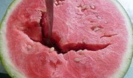 吃瓜导致呕吐腹泻,呕吐腹泻的警示与应对