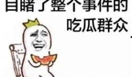 吃瓜群众标准姿势图片,图解网络热议现象