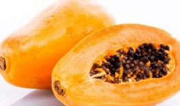 木瓜藤吃瓜,一场味蕾与自然的邂逅