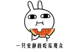 吃瓜是什么意思啊内涵,网络热词背后的社会现象与心理洞察