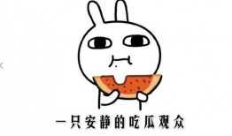 吃瓜是什么意思啊内涵,网络热词背后的社会现象与心理洞察