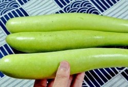 the 9爆料吃瓜,the 9爆料事件，吃瓜群众围观真相