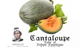 何以强吃瓜群众