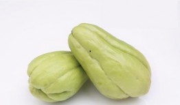 丑哥吃佛手瓜,丑哥的佛手瓜美食之旅