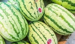 富瓜要怎么吃,探索各种吃法