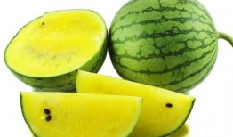 瓜哥吃瓜重庆文案图片,一场视觉与味蕾的双重盛宴