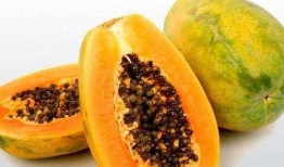 怀孕梦到在瓜地摘瓜吃,瓜地摘瓜，寓意何在？