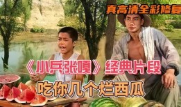 吃瓜视频片段,一场视觉盛宴背后的故事