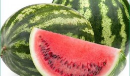 痛风可以吃咸瓜,咸瓜的神奇食疗功效