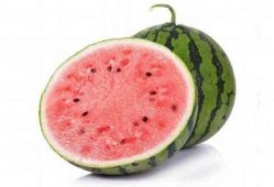 吃瓜就吃真麒麟,吃瓜群众的美食探秘之旅