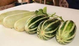 网红免费吃瓜群