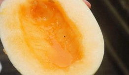 爱好者吃瓜,揭秘爱好者们的“吃瓜”世界