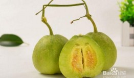 血糖偏高可以吃葫芦瓜