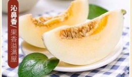 黄金蜜瓜怎么吃,解锁夏日清新美味