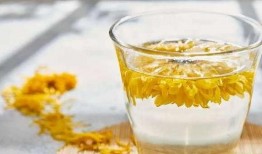 吃瓜菊花茶,吃瓜群众品味生活