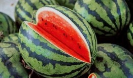 湖南最新吃瓜,揭秘网红美食背后的故事