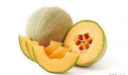 吃瓜称号大全,盘点那些令人捧腹的称号大全