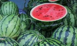 新疆孙佳佳吃瓜,揭秘网络舆论背后的真相